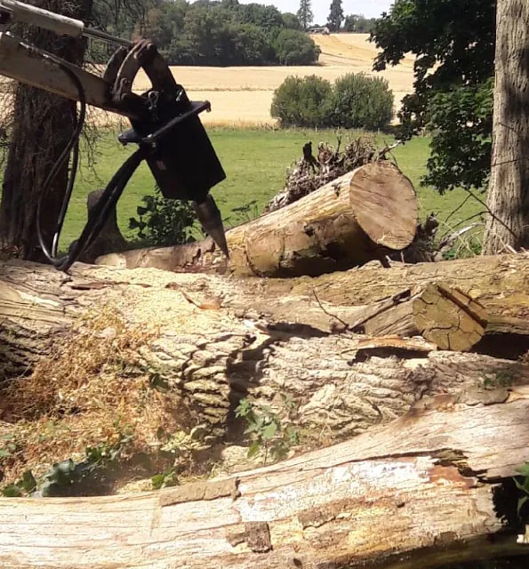 3 shires logs - log cutting