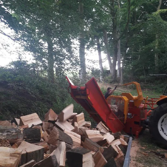 3 shires logs - log cutting