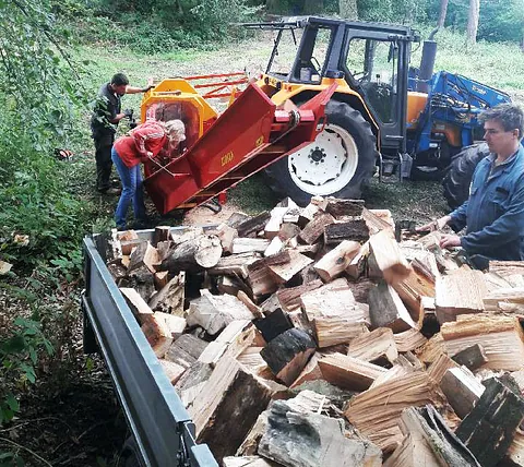 cutting high quality logs