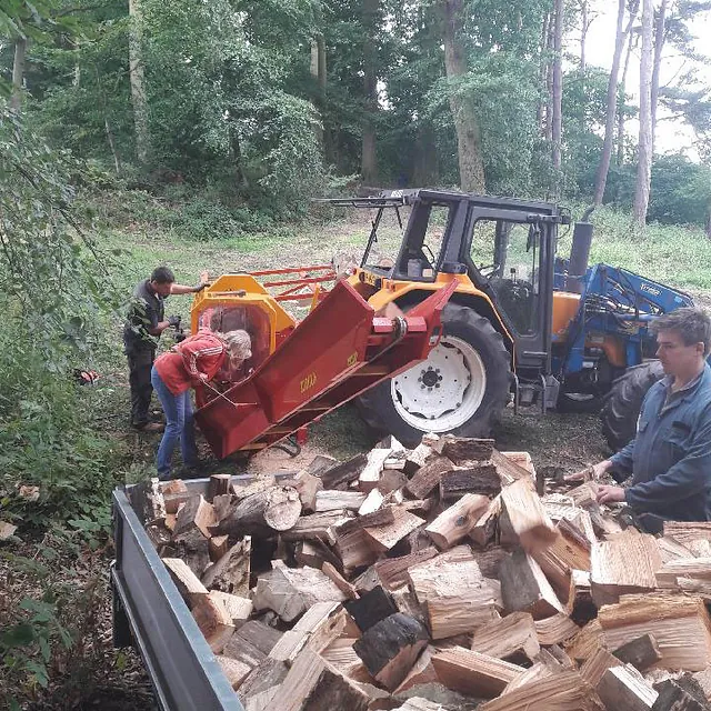 3 shires logs - log cutting